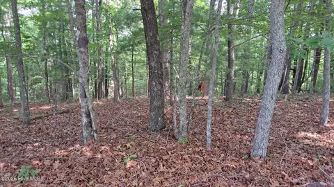 31 Acres Upper Bear Paw Rd, Murphy, NC 28906 photo 4