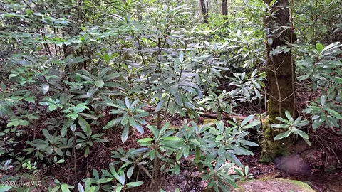 31 Acres Upper Bear Paw Rd, Murphy, NC 28906 photo 5