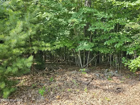31 Acres Upper Bear Paw Rd, Murphy, NC 28906 photo 17