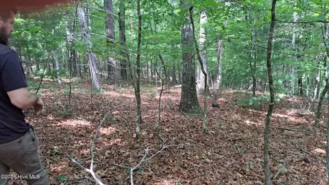 31 Acres Upper Bear Paw Rd, Murphy, NC 28906 photo 7
