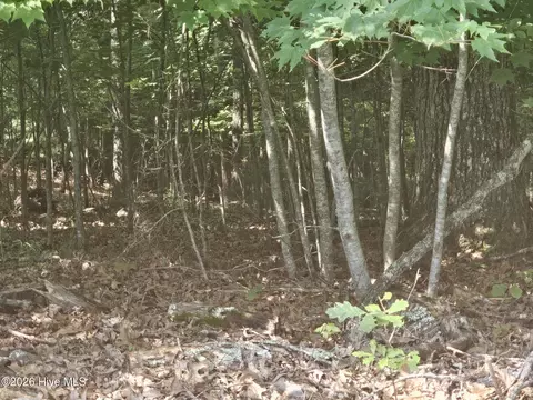 31 Acres Upper Bear Paw Rd, Murphy, NC 28906 photo 18