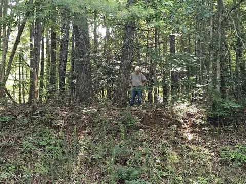 31 Acres Upper Bear Paw Rd, Murphy, NC 28906 photo 9