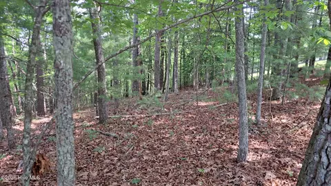 31 Acres Upper Bear Paw Rd, Murphy, NC 28906 photo 3
