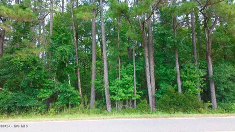 0000 Near 855 Furnie Hamm Rd # A, Clarendon, NC 28432