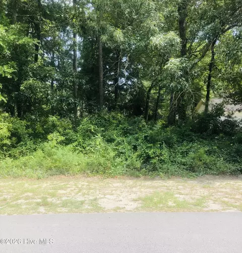 124 Bayshore Dr, Sneads Ferry, NC 28460