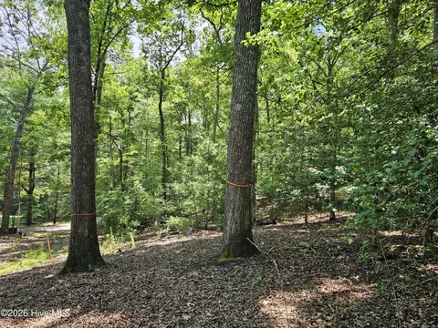 lot10 Bobcat Ln, Murphy, NC 28906 photo 20