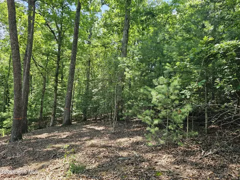lot10 Bobcat Ln, Murphy, NC 28906 photo 16
