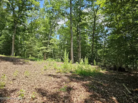lot10 Bobcat Ln, Murphy, NC 28906 photo 13