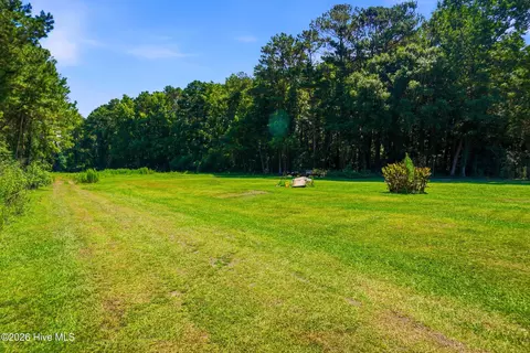 Other - 4040 Willard Rd, Willard, NC 28478 photo 9 of 12