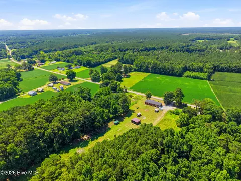 View/Area - 4040 Willard Rd, Willard, NC 28478 photo 10 of 15
