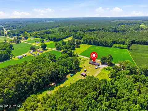 View/Area - 4040 Willard Rd, Willard, NC 28478 photo 9 of 15
