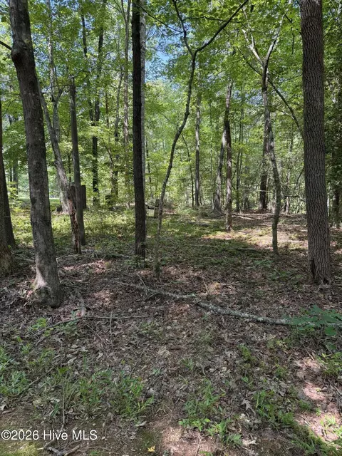 153 Omaha Dr, Louisburg, NC 27549