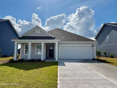 1113 Pampas Grass Dr #LOT 292, Castle Hayne, NC 28429