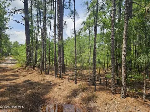 0 Phoenix Pkwy, Navassa, NC 28451