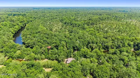 View/Area - 561 White Tail Ln, Willard, NC 28478 photo 1 of 3
