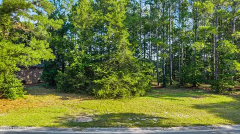 205 Cedar Point Dr, Wallace, NC 28466 photo 3