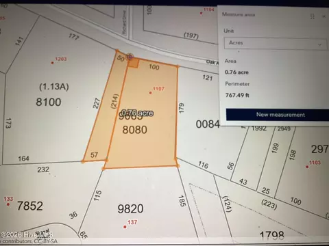 1107 Oak Ave, Hamlet, NC 28345 photo 8