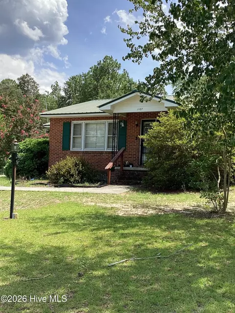 1107 Oak Ave, Hamlet, NC 28345 photo 2