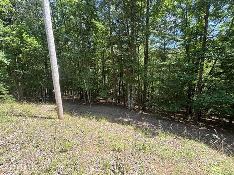 51 Pine Cove Ln, Murphy, NC 28906 photo 4
