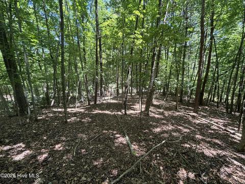 51 Pine Cove Ln, Murphy, NC 28906 photo 3