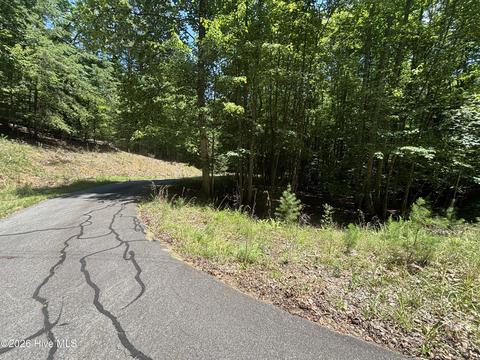 51 Pine Cove Ln, Murphy, NC 28906 photo 8