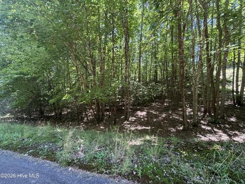 51 Pine Cove Ln, Murphy, NC 28906 photo 10