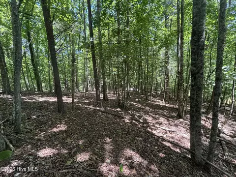 52 Pine Cove Ln # A, Murphy, NC 28906 photo 4