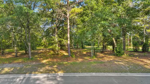 348 River Ridge Dr, Wallace, NC 28466 photo 2
