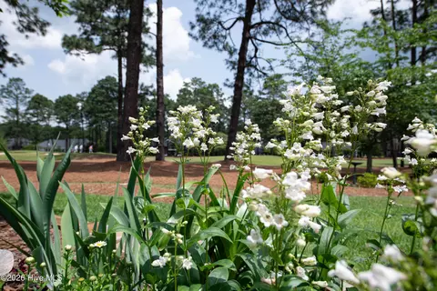 Other - 32 Lasswade Dr, Pinehurst, NC 28374 photo 25 of 26