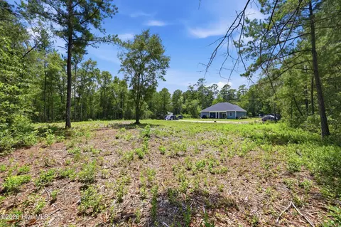 6000 Highway 66, Loris, SC 29569 photo 25