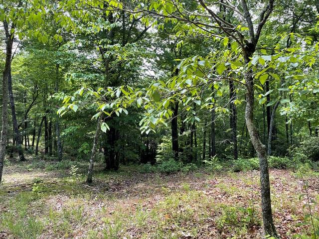 4 Collett Woods Trl, Andrews, NC 28901