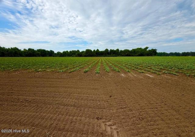 478 Davis Mill Rd, Fremont, NC 27830