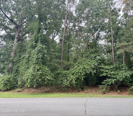 112 Deerborn Dr, Goldsboro, NC 27534