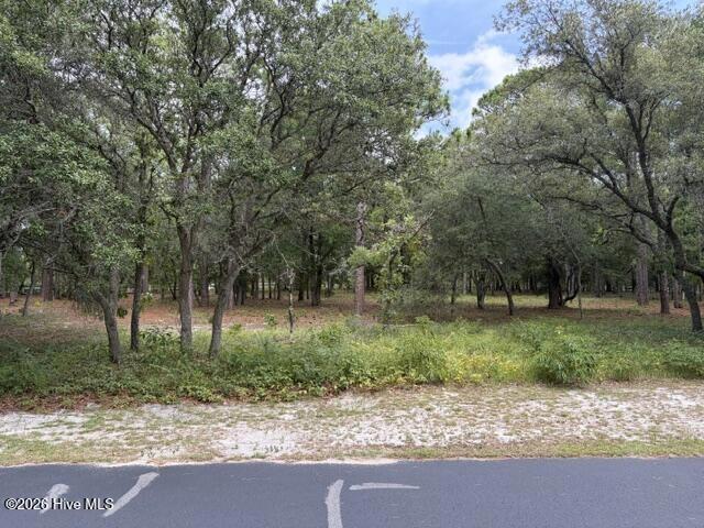 2942 Sugar Sand Dr SE, Bolivia, NC 28422