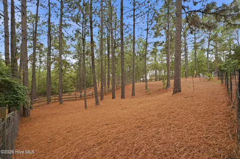Exterior - 209 Longleaf Dr, West End, NC 27376 photo 9 of 16
