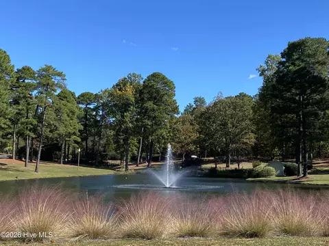Other - 209 Longleaf Dr, West End, NC 27376 photo 19 of 23