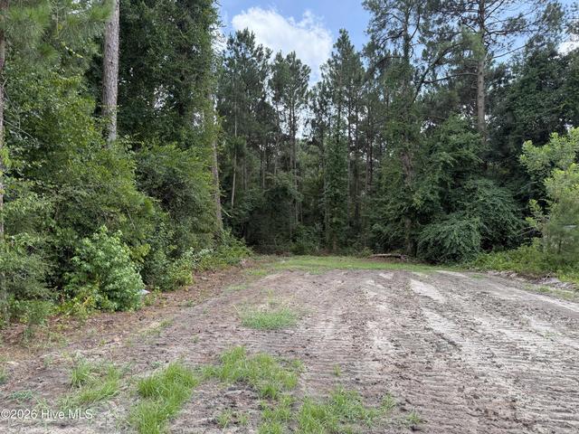 0 Grays Ln, Elizabethtown, NC 28337