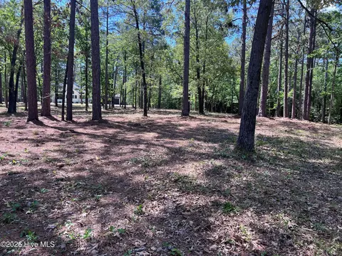 231 Meyer Farm Dr, Pinehurst, NC 28374 photo 2