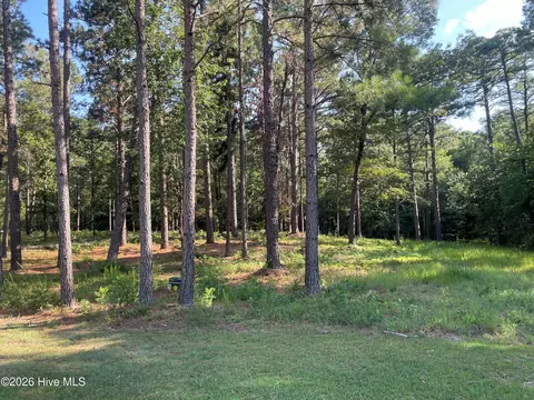 231 Meyer Farm Dr, Pinehurst, NC 28374 photo 3