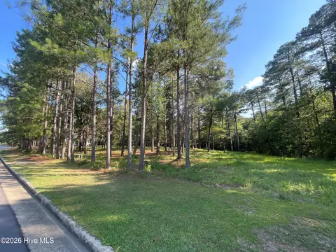 231 Meyer Farm Dr, Pinehurst, NC 28374 photo 4
