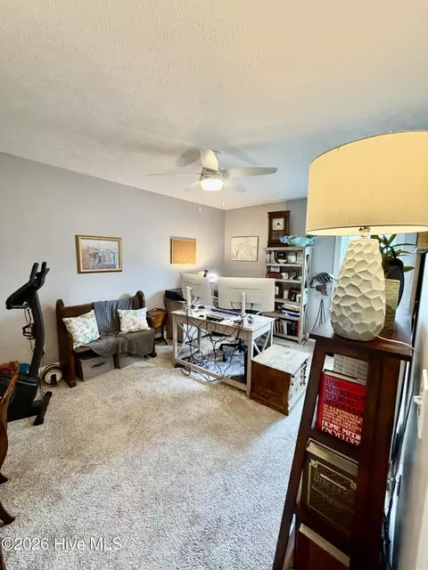 Other - 103 Spring Branch Dr, Harrells, NC 28444 photo 2 of 6