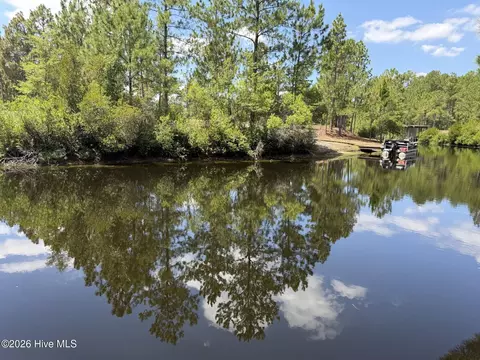 View/Area - 103 Spring Branch Dr, Harrells, NC 28444 photo 1 of 2