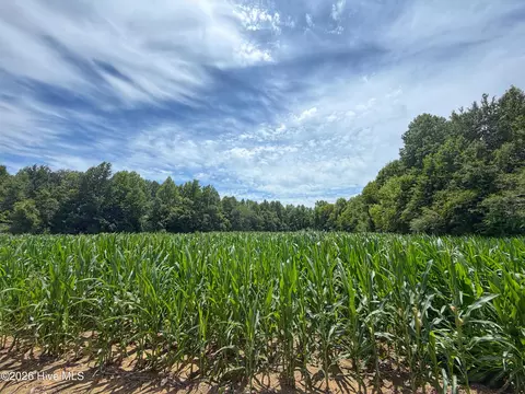 01 Titan Roberts Rd, Erwin, NC 28339 photo 20