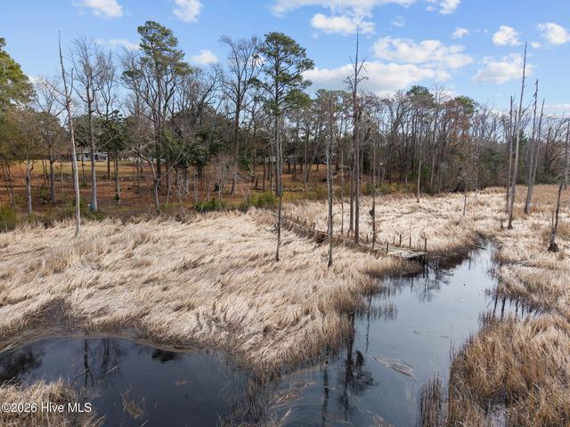 1405 Ness Dr, Castle Hayne, NC 28429