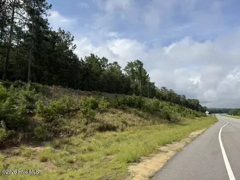 0 N Us Hwy 1, Matthews, GA 30818
