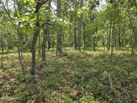 lot10 Woola Woola Ln, Grantsboro, NC 28529