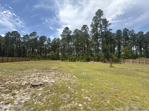 Exterior - 530 N Ridgecrest St, Pinebluff, NC 28373 photo 8 of 9