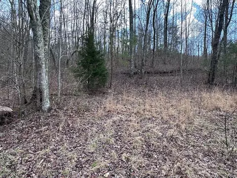 tbd Pack Mountain Rd, Murphy, NC 28906 photo 24