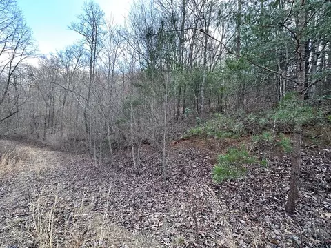 tbd Pack Mountain Rd, Murphy, NC 28906 photo 29