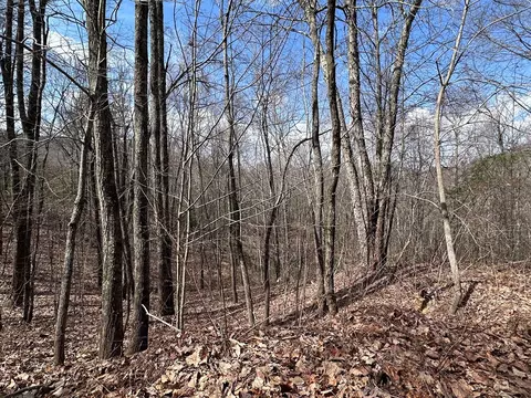 tbd Pack Mountain Rd, Murphy, NC 28906 photo 27
